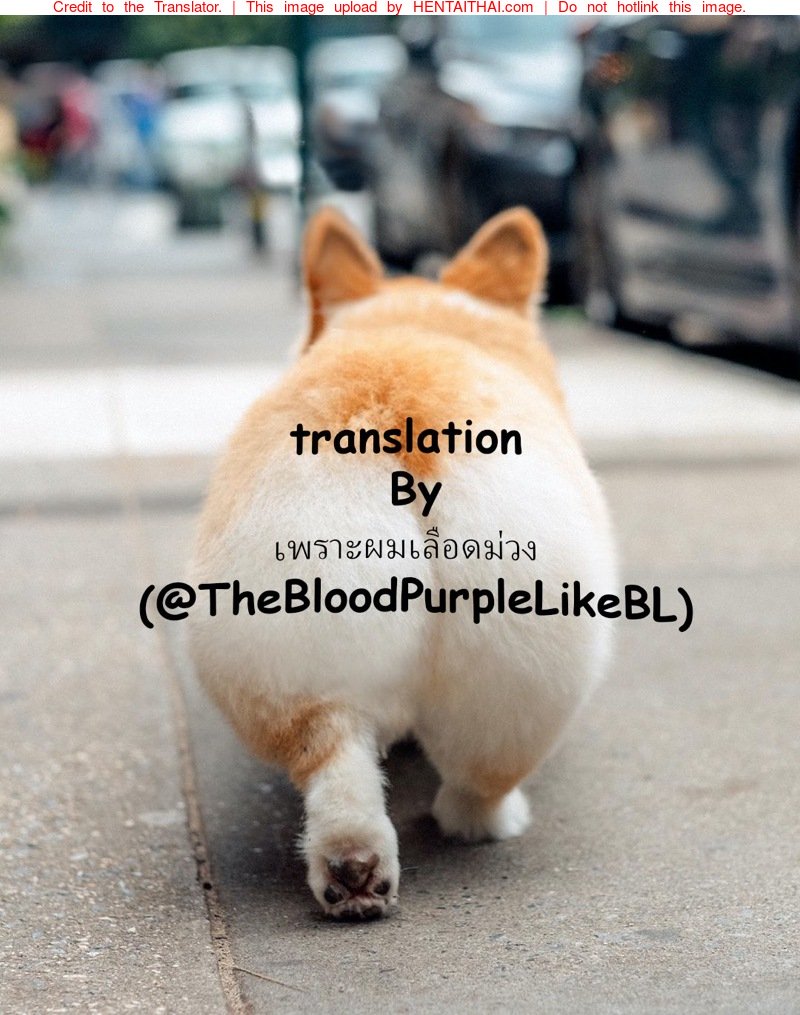 ปฏิบัติการ ขโมย หนังสือโป๊ — page 25 of 25