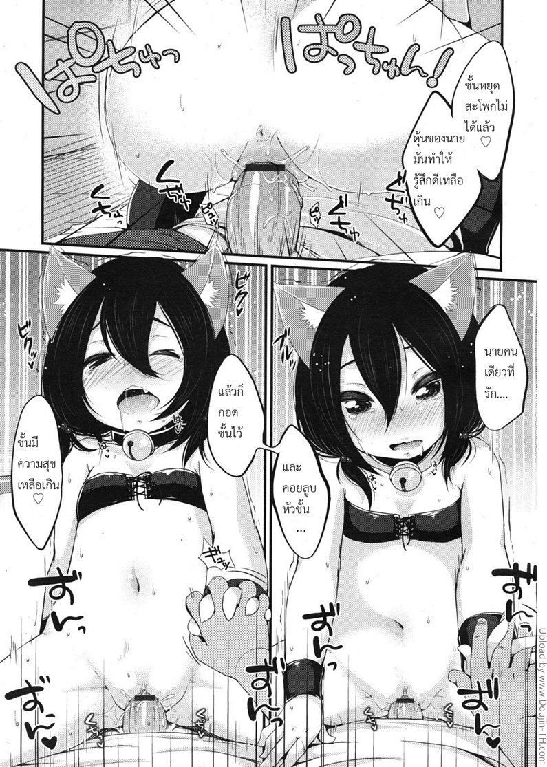 แมวเหมียวโลลิ — page 15 of 18